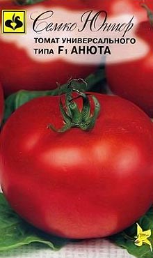 Полудетерминантный сорт самоопыляемых томатов Анюта