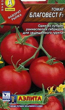 Сорт самоопыляемых томатов? сохраняющий качества сорта Благовест