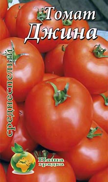 Сорт самоопыляемых томатов? сохраняющий качества сорта Джина