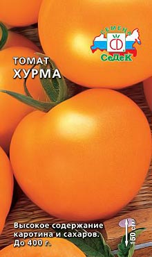 Позднеспелый сорт самоопыляемых томатов Хурма