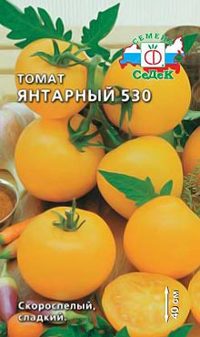 Ультраскороспелый сорт самоопыляемых томатов Янтарный