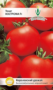 Сорт самоопыляемых томатов, устойчивый к микробным и грибковым вредителям Кострома