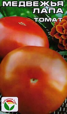 Высокоурожайный сорт самоопыляемых томатов Медвежья лапа