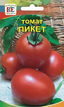 Засолочный сорт самоопыляемых томатов Пикет