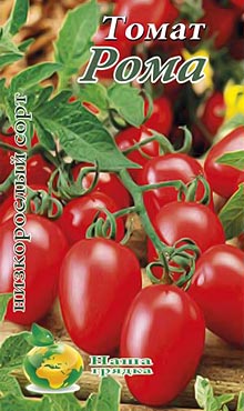 Сорт самоопыляемых томатов, устойчивый к микробным и грибковым вредителям Рома