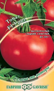 Сорт самоопыляемых томатов, устойчивый к заморозкам Урал
