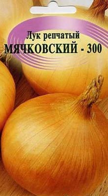 лук чернушка сорт Мячковский 300