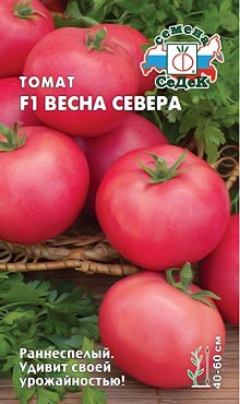 Сорт детерминантных томатов Весна севера