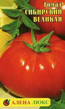 Сорт крупноплодных томатов Сибирский великан