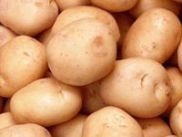 как сажать картофель